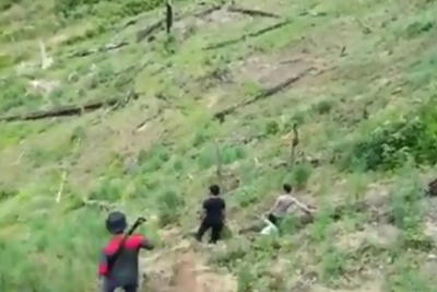 Polisi Temukan Empat Hektar Ladang Ganja di Gayo Lues, Aceh