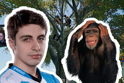 Kembali Main PUBG, Shroud Bertemu Dua Ekor Monyet Di Map Sanhok