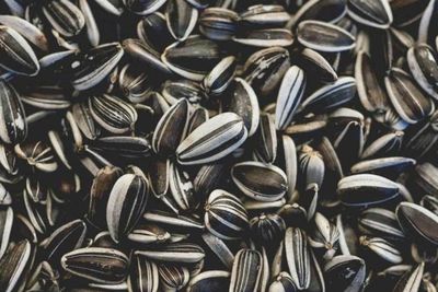 Jangan Anggap Remeh! Ini 5 Manfaat Kuaci Untuk Kesehatan