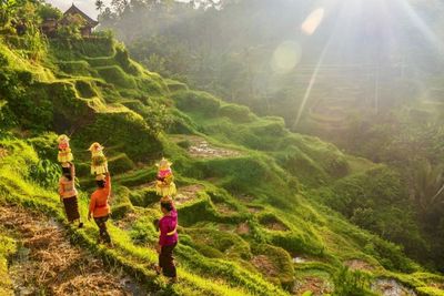Keren, Ubud Bakalan Menjadi Wisata Gastronomi Pertama Di Dunia