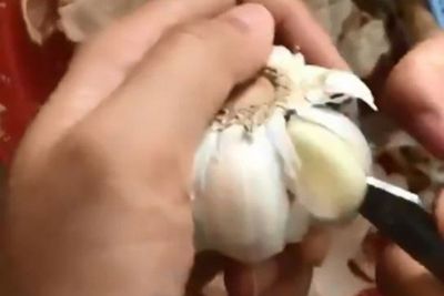 Viral Trik Kupas Kulit Bawang Putih, Netizen: S3 Tata Boga Harvard