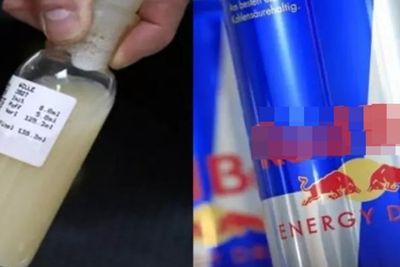 Benarkah Minuman Energi Mengandung Sperma  Banteng?