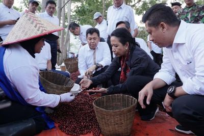 Demi Tingkatkan Ekspor, BUMN Wajib Hargai Petani Kopi