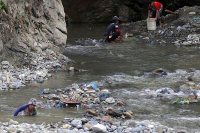 Habitat Ikan Air Tawar Rusak Akibat Tambang Emas Ilegal
