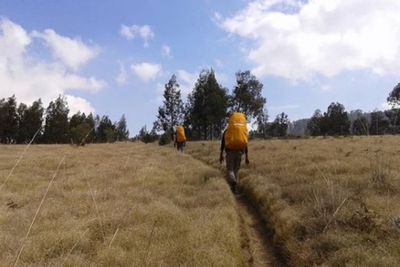 Inilah 6 Sabana Terindah di Indonesia