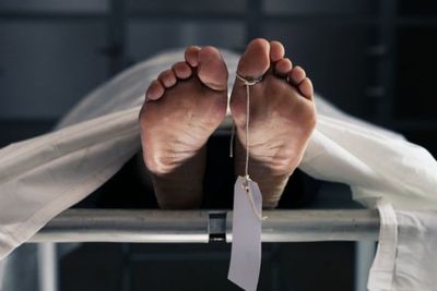 Hidup Sebatang kara, Muslimin Ditemukan Membusuk di Area Kebun 