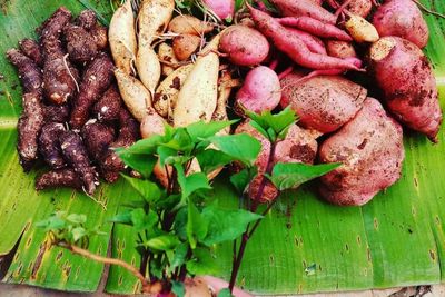 4 Manfaat Daun Ubi Jalar yang Harus Kamu Ketahui