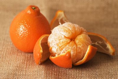 5 Buah Hasil Persilangan