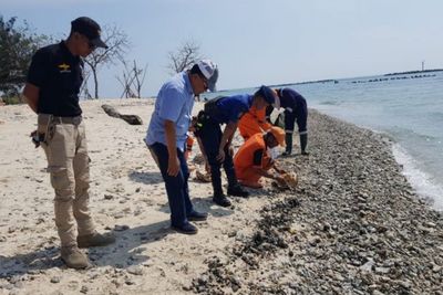 3 Pulau Ini Terkena Dampak dari Tumpahan Minyak Mentah Milik Pertamina