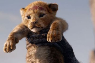 Lirik dan Arti Lagu Lion King Opening: Makna Mendalam Nants Ingonyama yang Ikonik