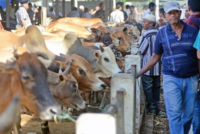 Pemkot Jambi Imbau Panitia Kurban Tak Gunakan Kantong Plastik