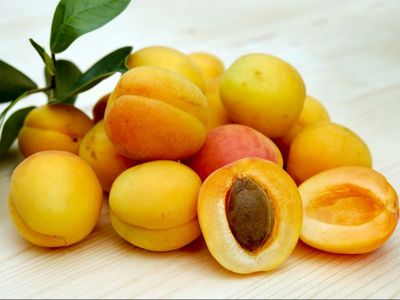 #KAMUHARUSTAU, Ternyata Vitamin A Turunkan Risiko Kanker Kulit