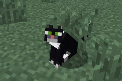 Gamer Ini Hampir Nangis Karena Kucing Minecraft Miliknya Mati
