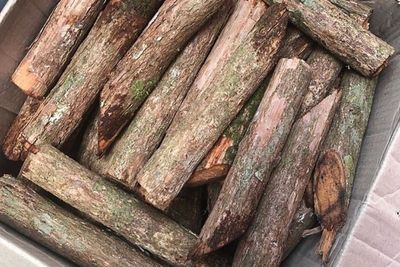 Tanaman Bajakah, Obat Kanker Payudara Alami dari Kalimantan Tengah