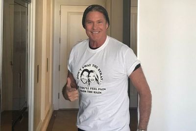 Album Baru David Hasselhoff Tampilkan Lagu David Bowie