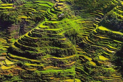 Keindahan Alam Di Atas Sawah Tertinggi Dunia, Banaue Rice Terraces