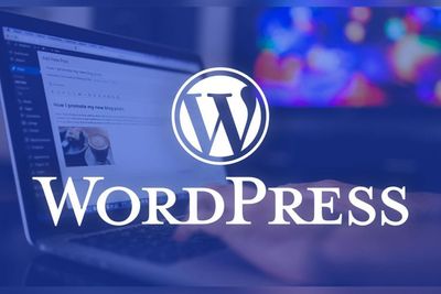 Sekelompok Hacker Berhasil Temukan Celah di Situs Wordpress