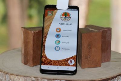 AIKO, Aplikasi Buat Identifikasi Kayu Indonesia 