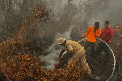 Tiga Terduga Pembakar Hutan Taman Nasional Tesso Nilo Ditangkap