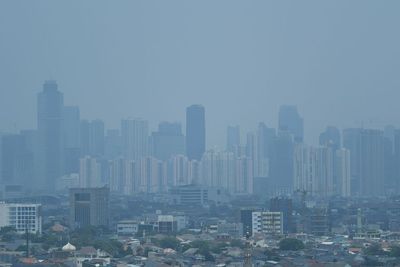 Pilek Alergi Jadi Salah Satu Gangguan Pernapasan Karena Polusi Udara