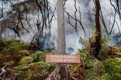 Kebakaran di Kawah Putih Diduga Karena Puntung Rokok