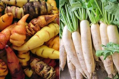6 Jenis Sayuran Unik yang Belum Banyak Diketahui