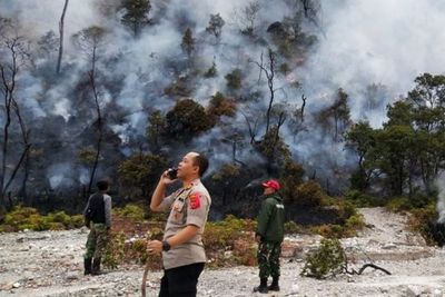 Ridwan Kamil Minta Bupati Tangani Kebakaran di Kabupaten Bandung