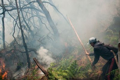 Kebakaran di Kawah Putih Padam, Api Menjalar ke Pasirjambu