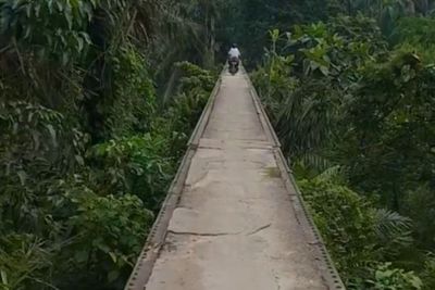 Bikin Jantung Copot, Ini Jembatan Ekstrem di Sumatera Utara