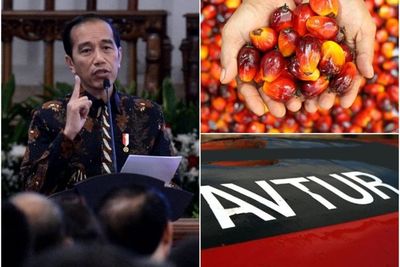 Jokowi: Kita Ingin Indonesia Bisa Produksi Avtur dari Kelapa Sawit