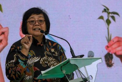Siti Nurbaya, Kader Kedua Nasdem yang di Panggil Jokowi ke Istana