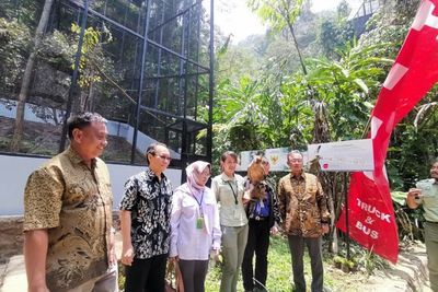 Hino dan Taman Safari Indonesia Lakukan CSR Pelestarian Elang Jawa