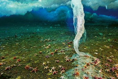 Fenomena Brinicle, Tornado Es Bawah Laut