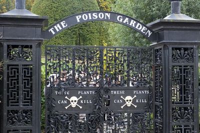 The Alnwick Poison Garden - Berisi Tanaman Beracun dan Psikotropika