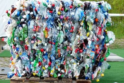 Sering Salah Kaprah! Begini Rupanya Cara Buang Botol Plastik Bekas