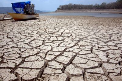 BMKG Bantah Potensi Isu Kekeringan Panjang & El Nino pada 2020