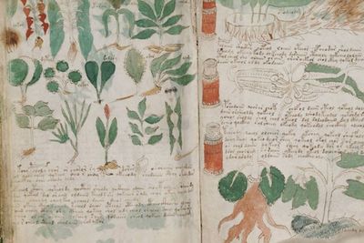 Manuskrip Misterius dengan Tulisan dan Bahasa yang Tak Diketahui