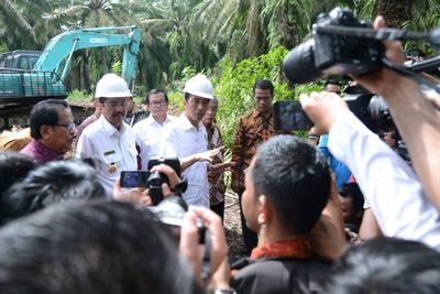 Naikkan Harga Sawit, Negara Penghasil Diminta Tiru Indonesia Bikin B20