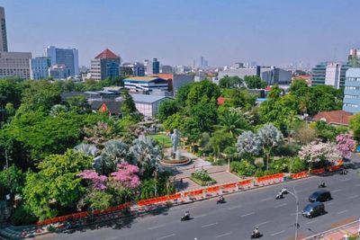 Serasa di Jepang, Begini Potret Bunga Tabebuya yang Mekar di Surabaya