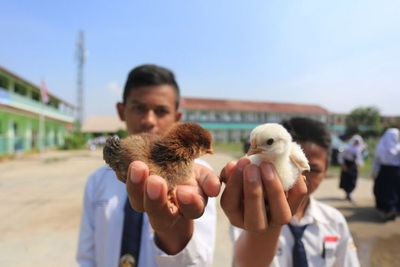 Putus Ketergantungan Pada Handphone, Pemkot Bandung Bagikan Anak Ayam