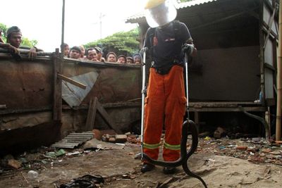 Teror Ular Kobra, Ini Penjelasan LIPI