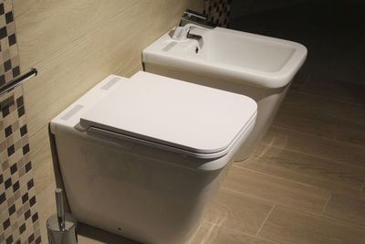 Melapisi Dudukan Toilet dengan Tisu, Bukan Cara yang Tepat