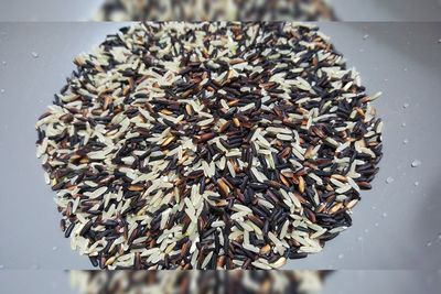 Jenis-jenis Beras dan Manfaatnya Bagi Tubuh