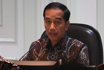 Jokowi Jawab Protes Susi Terkait Ekspor Benih Lobster