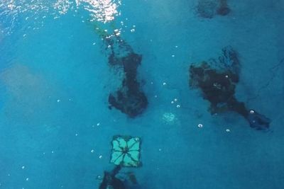 Lomba Selam Danjen Kopassus, Ada Catur Jawa hingga Free Dive