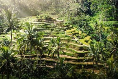 Daerah di Bali Ini Masuk Daftar Keajaiban Alam di Dunia