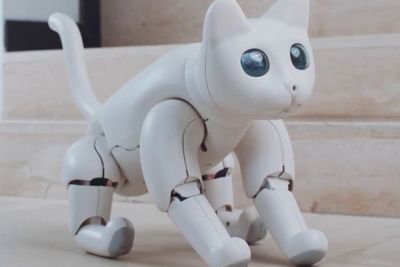 MarsCat, Robot Kucing Otonom Pertama dengan Fitur Super Canggih!