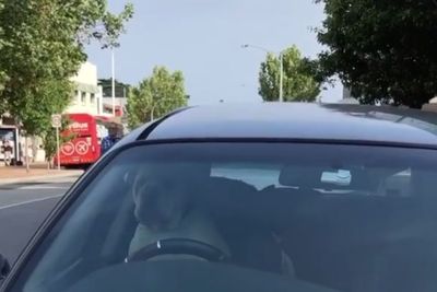 Tidak Sabar Tunggu Majikan di Dalam Mobil, Anjing Ini Bunyikan Klakson