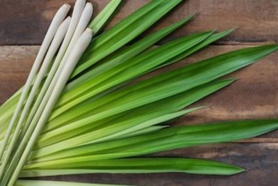 Bukan Sekadar Bumbu Dapur, Ini Manfaat Lain Serai untuk Rambut