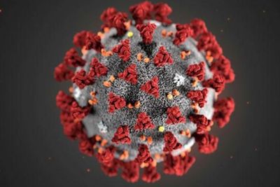 WHO Tetapkan COVID-19 Jadi Nama Resmi Virus Korona